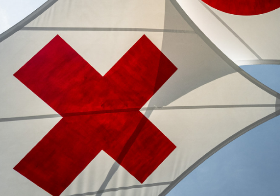 Cruz Roja organiza una jornada institucional para profundizar en los principales retos de actuación en la etapa pospandemia