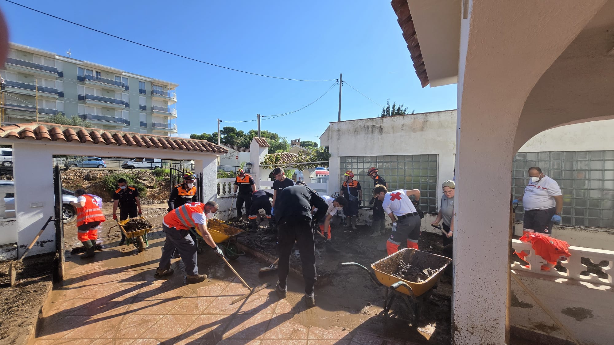 La nostra intervenció al Montsià, en imatges