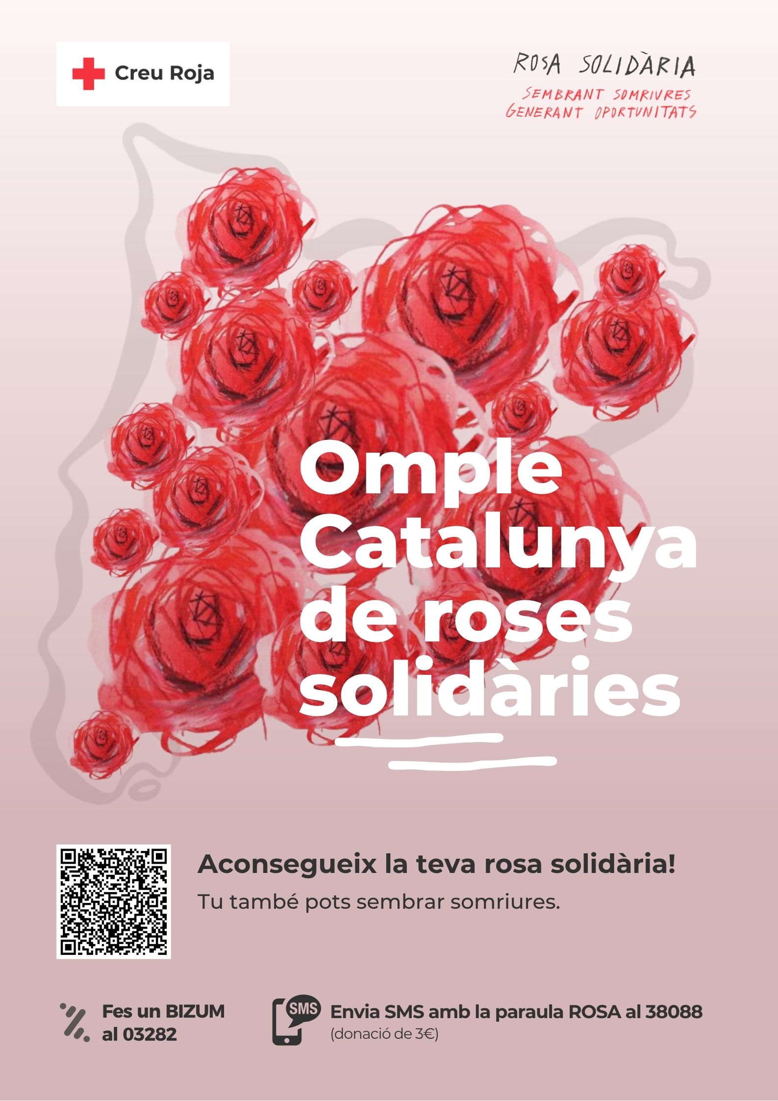 Cruz Roja impulsa la Rosa Solidaria 2026 para promover el éxito escolar de la infancia en riesgo