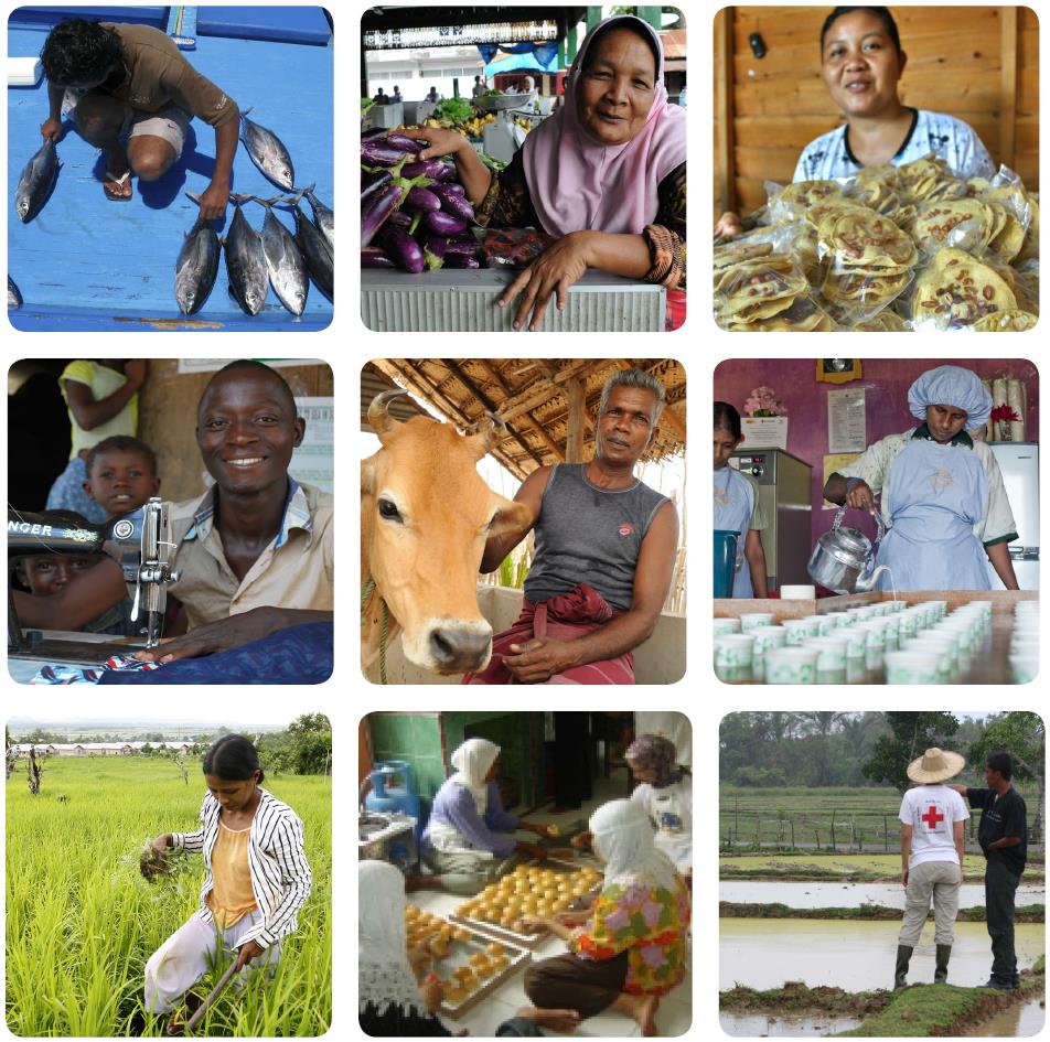 ¿Qué son los Medios de Vida?