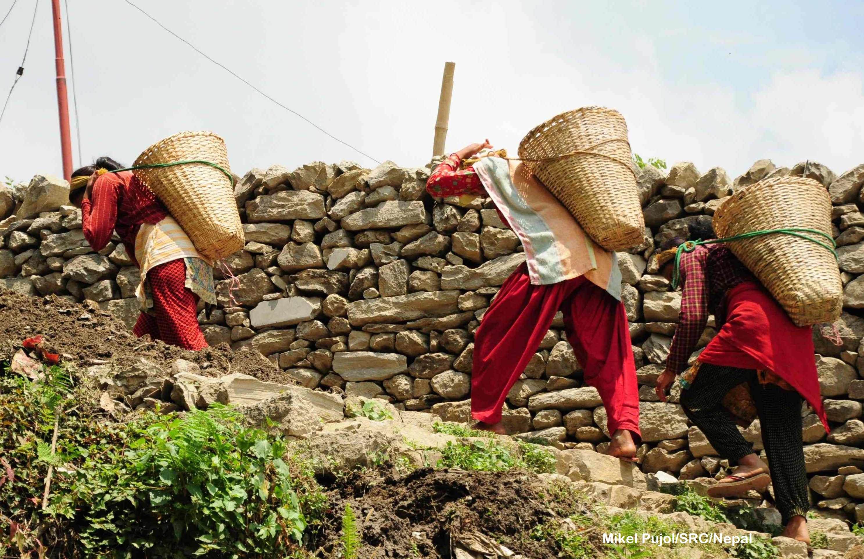 11_Spanish Red Cross_Mikel-Pujol_Nepal_2018_Mujeres porteadoras cut.jpg