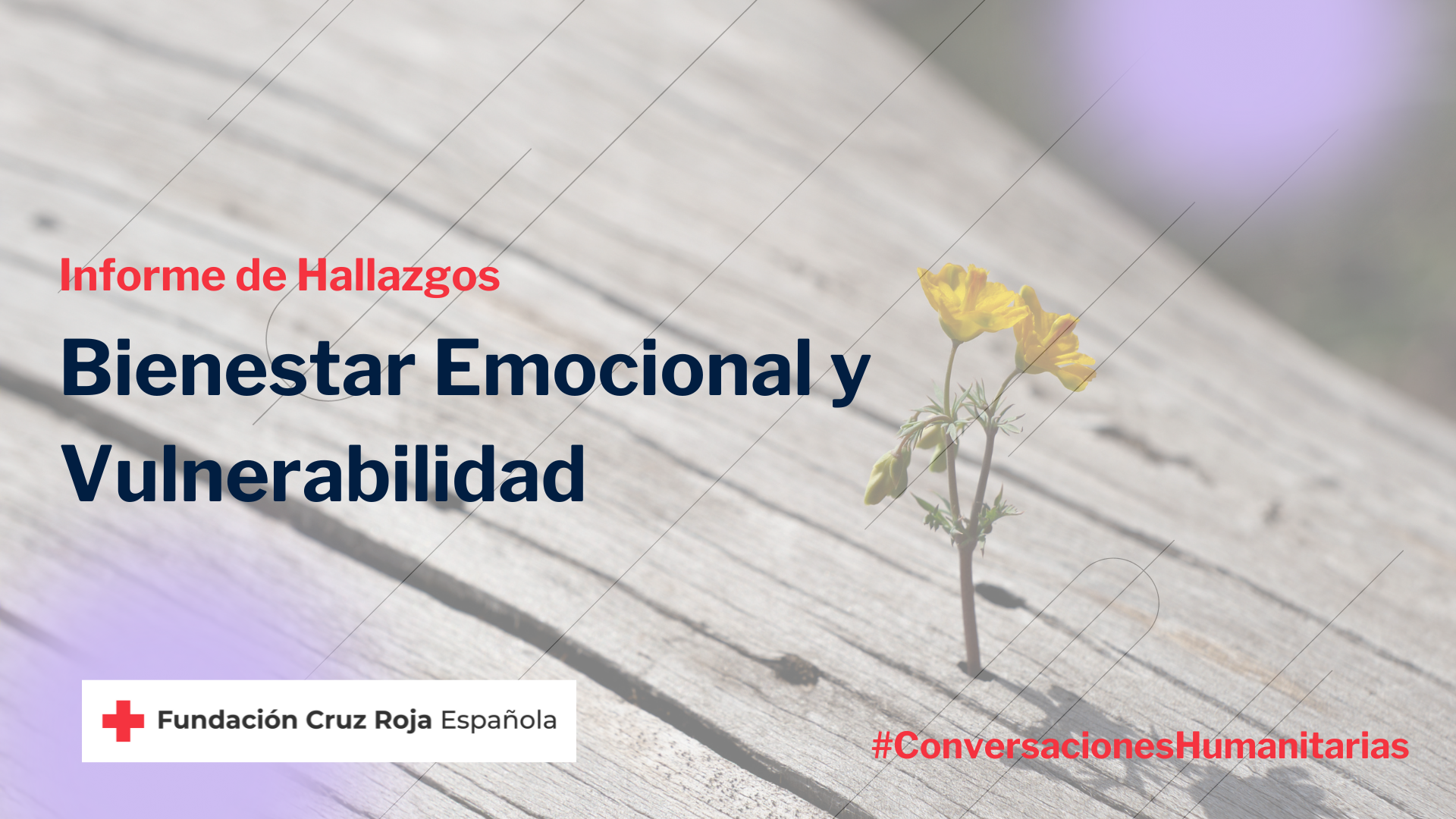 Informe Bienestar Emocional_PORTADA_logo abajo.png