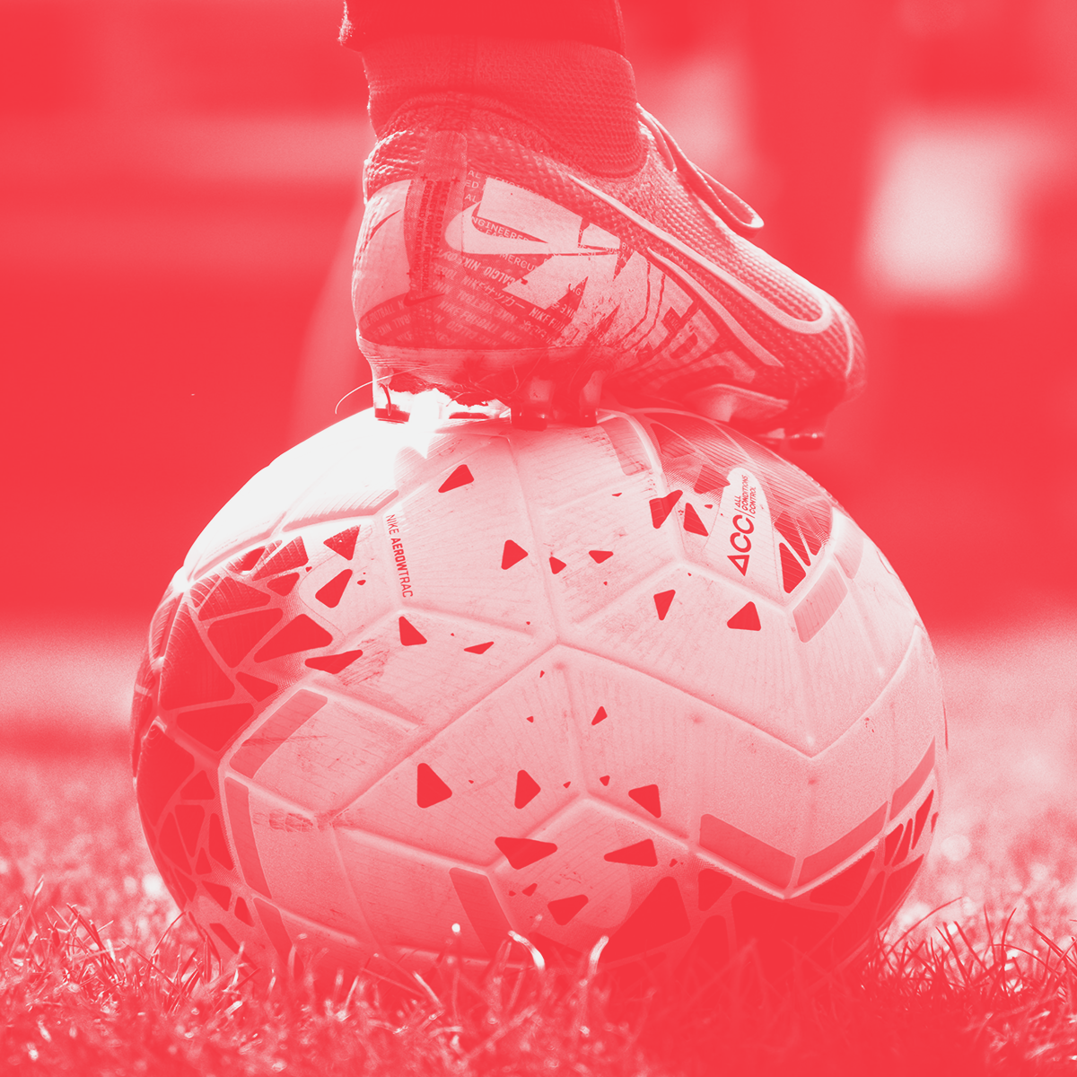 Talento femenino y referentes