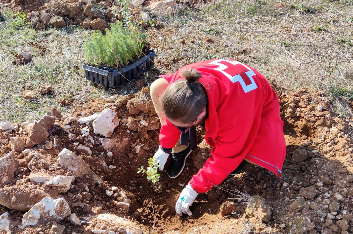 Sembrando para proteger el futuro de la humanidad