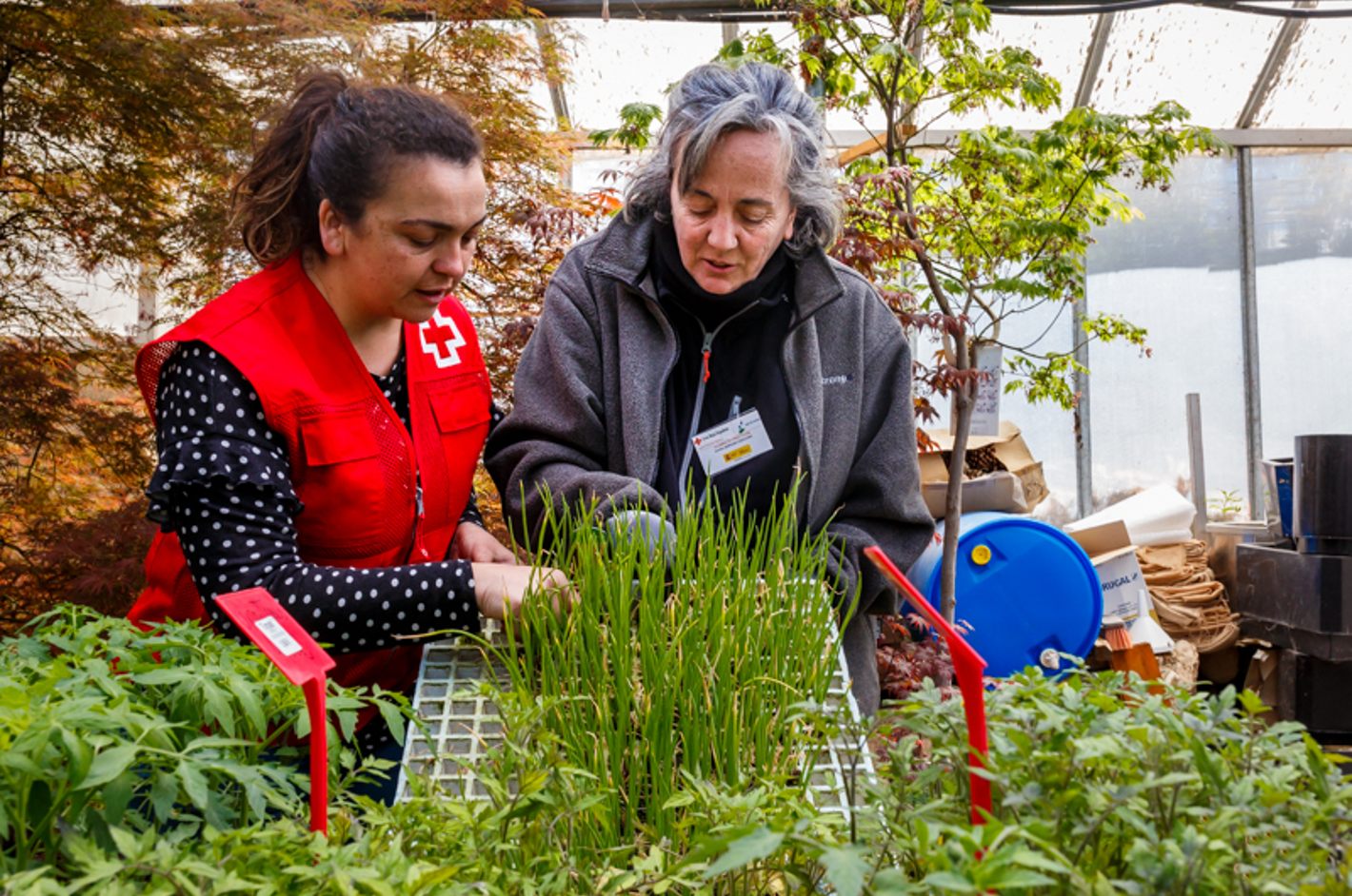 Reivindicando el talento senior