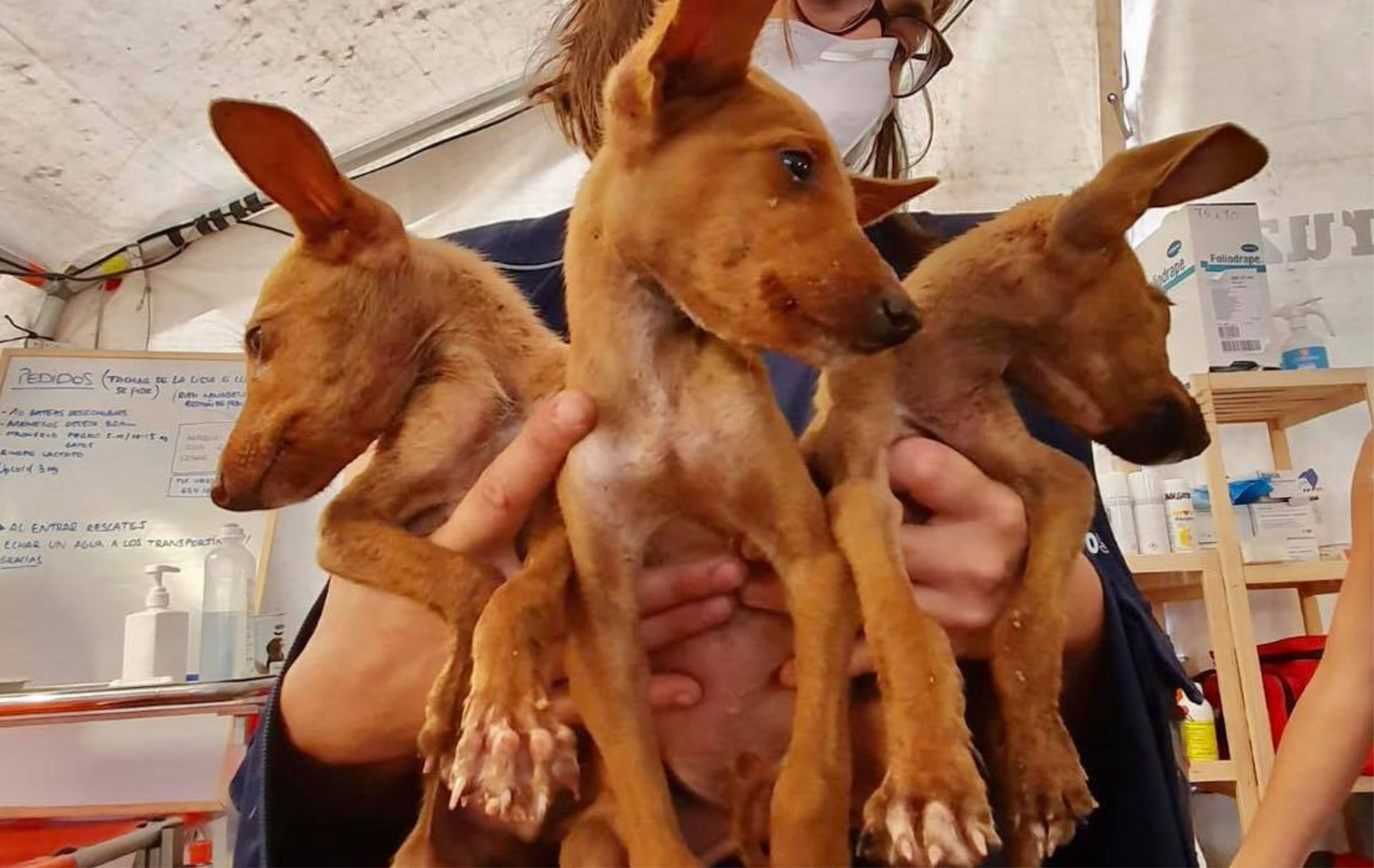 Una compañía que deja huella 