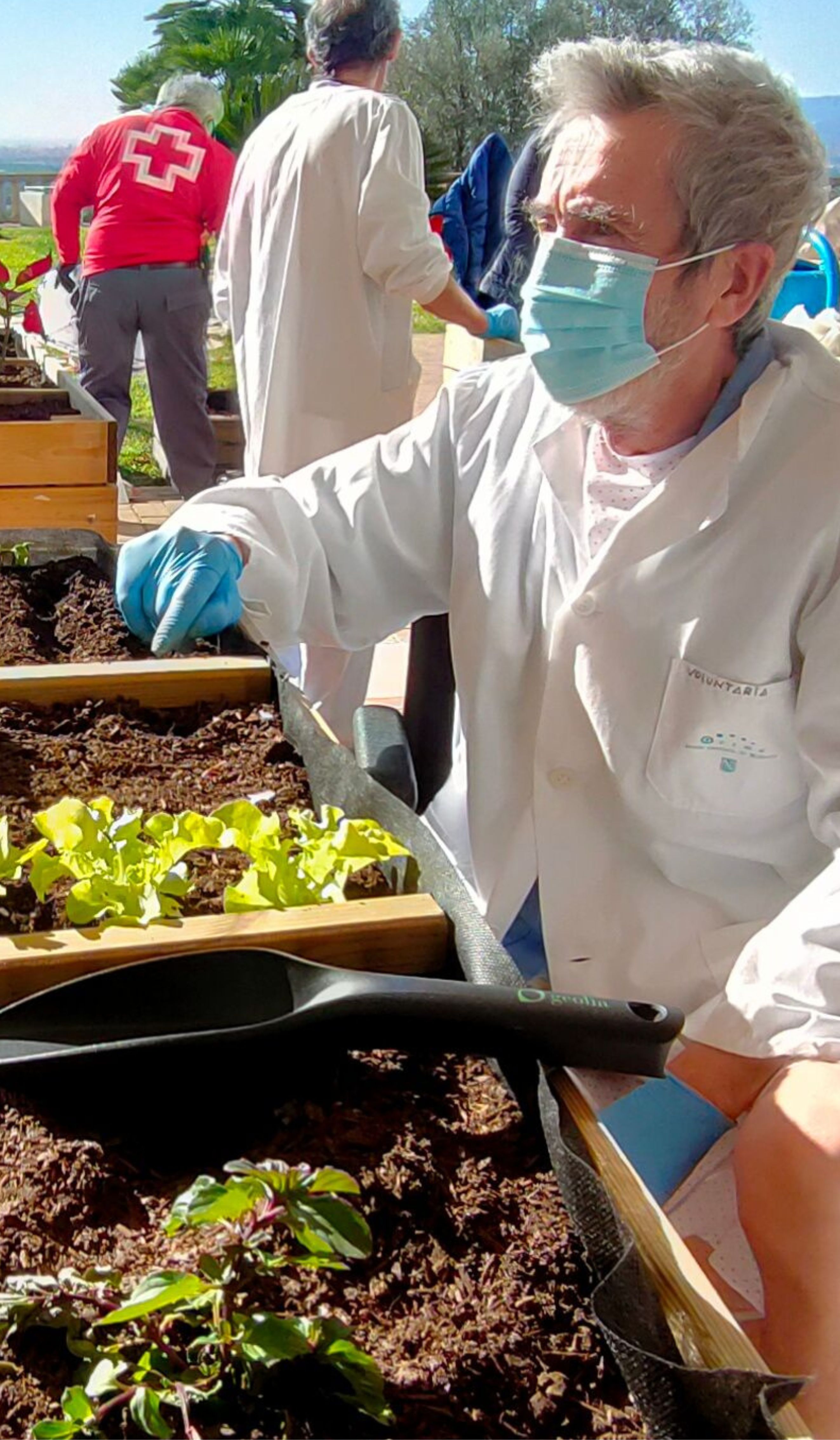 Sembrar esperanza, recoger salud. Los beneficios de cultivar un huerto