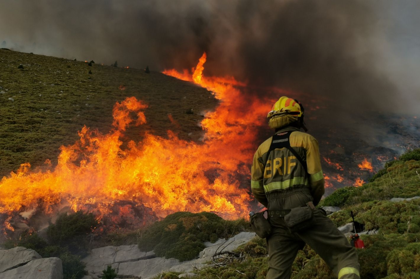 Brigadas de Refuerzo de Incendios Forestales