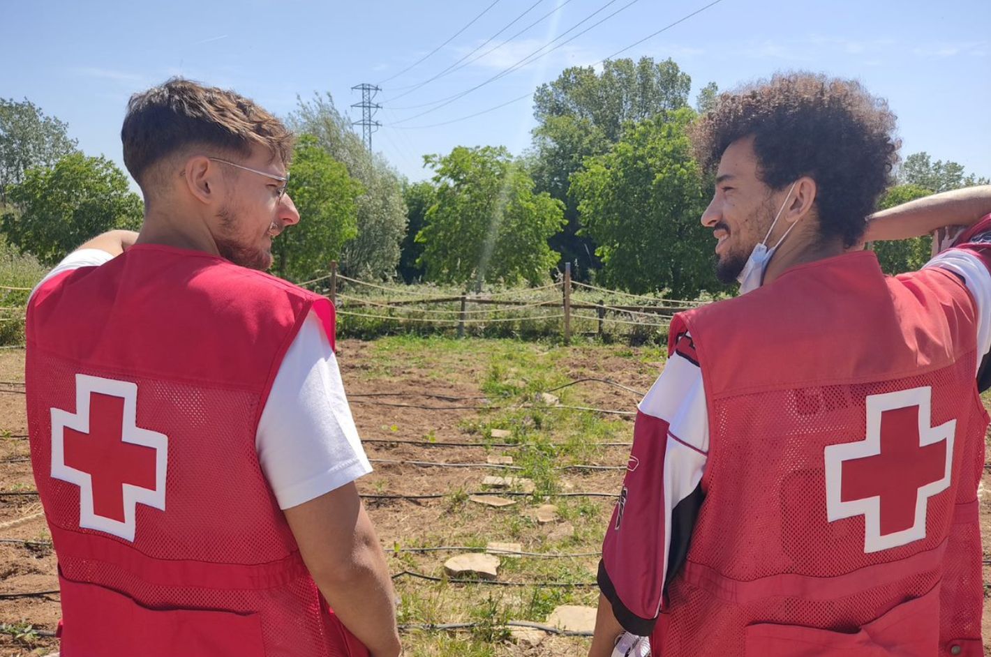 La naturaleza como aliada: soluciones vivas frente al cambio climático