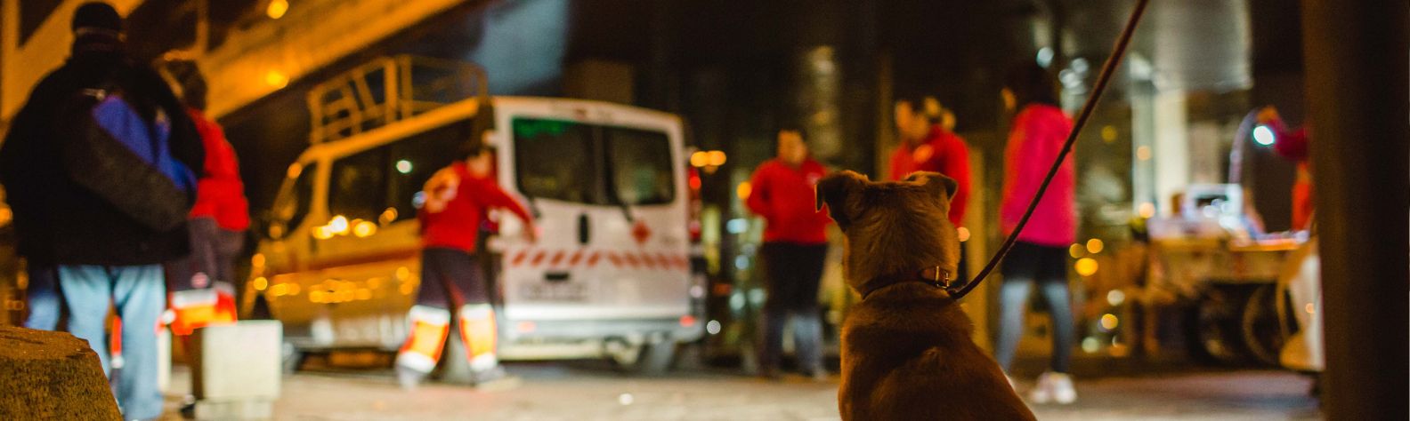 El valor de la compañía cuando vives en la calle