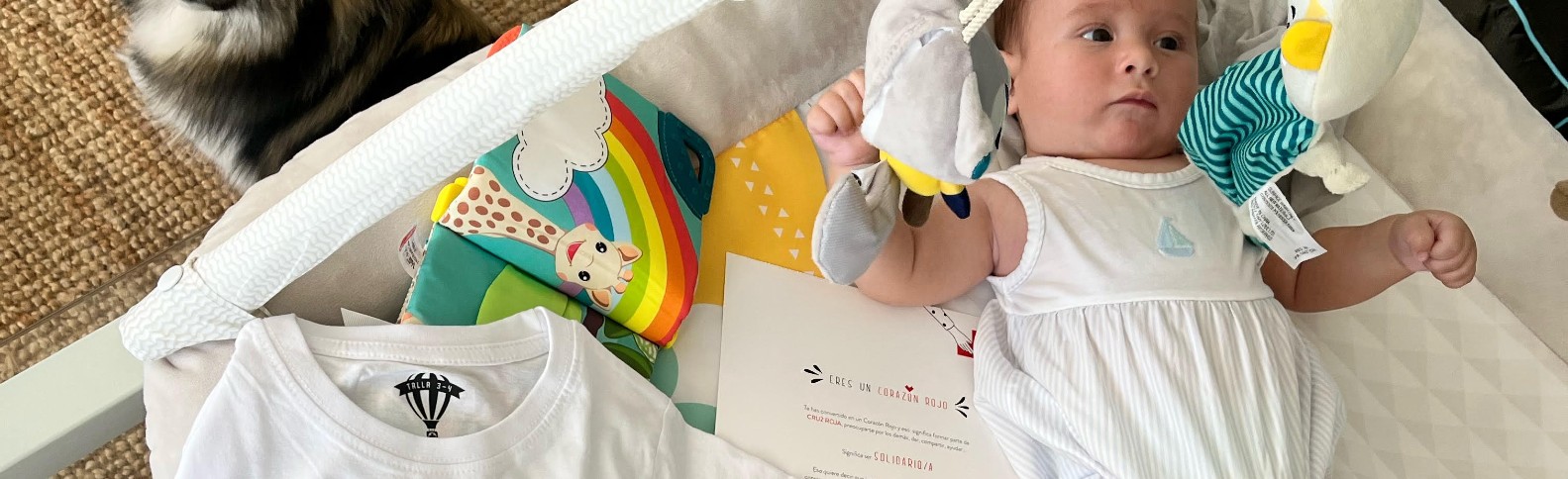 Ricardo, el bebé que con una semana ya estaba comprometido con Cruz Roja