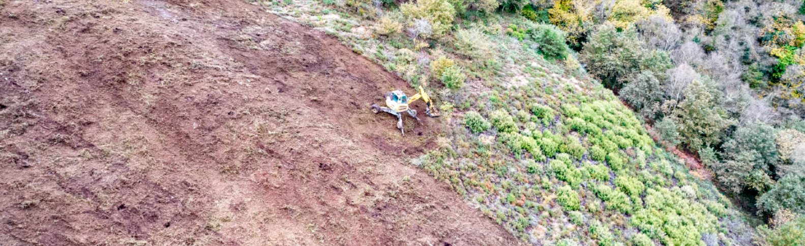 Recuperando el verde de la naturaleza