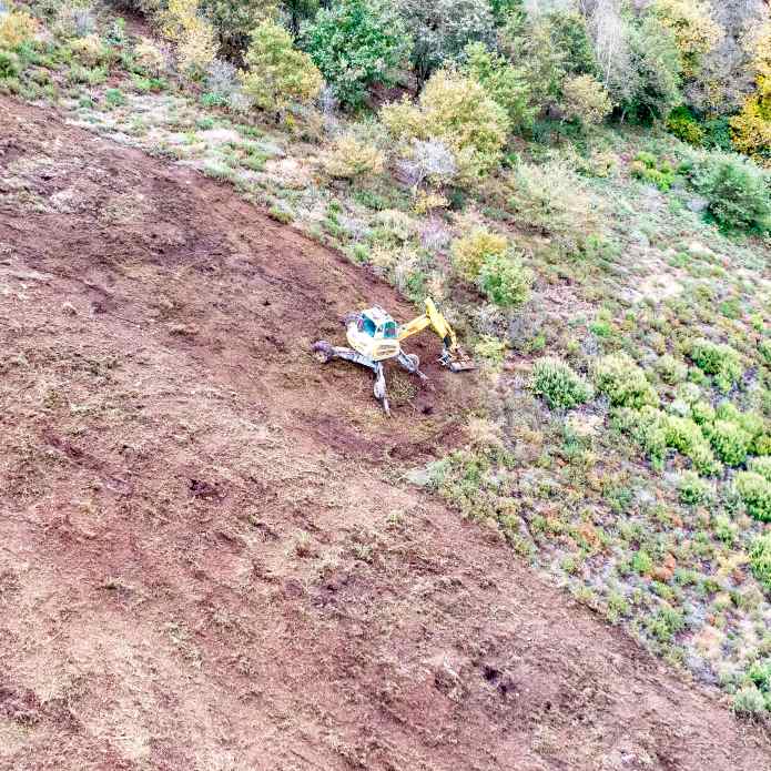 Naturaren berdea berreskuratzen