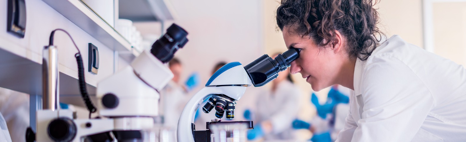 La mujer y la niña en la ciencia: referentes, igualdad de género y talento femenino