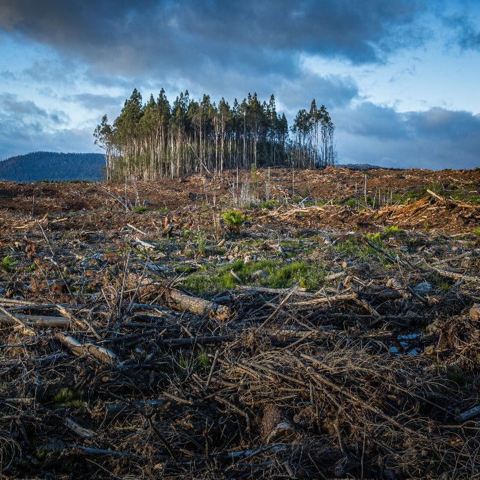 “COPek27 porrot egingo du liderrek ez badiete komunitateei laguntzen klima-aldaketaren lehen lerroan”