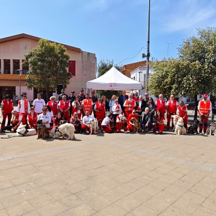 Héroes voluntarios de cuatro patas: 30 años de búsqueda y rastreo