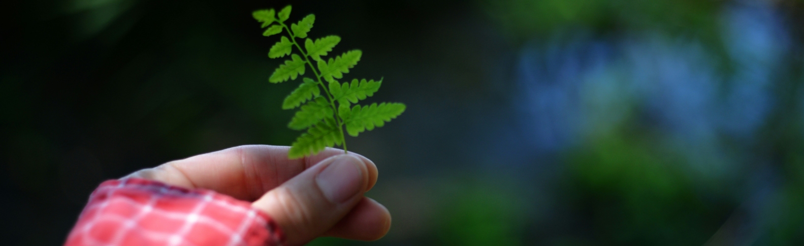 Ya necesitamos más de un planeta y medio para ser sostenibles