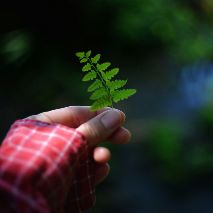 Ya necesitamos más de un planeta y medio para ser sostenibles