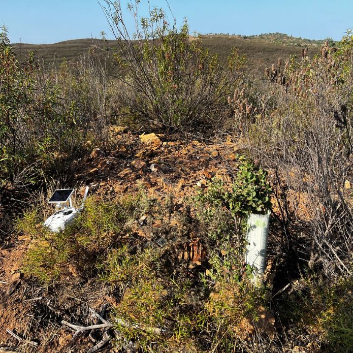 Teknologia, funtsezko aliatua ekosistema lehengoratzeko