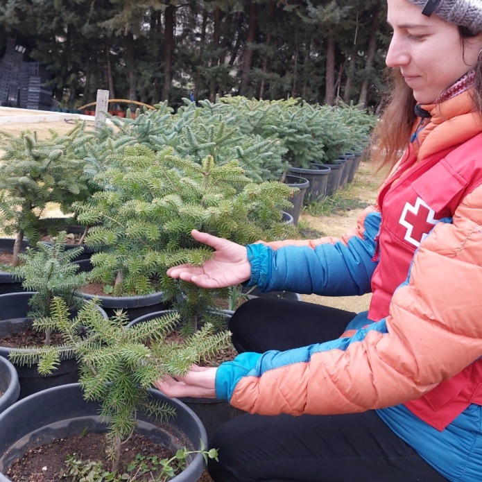 400 personas voluntarias contribuyen a la reforestación en el Parque Natural ‘Sierra de las Nieves’