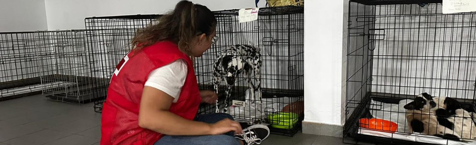 “La gente prefería quedarse fuera del albergue que abandonar a sus animales”