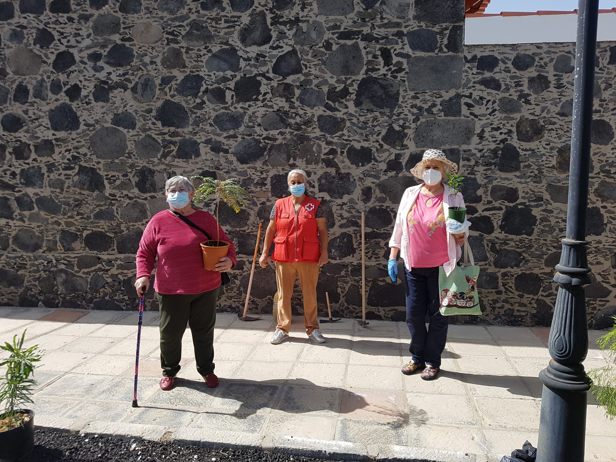 Cuidar las plantas genera bienestar