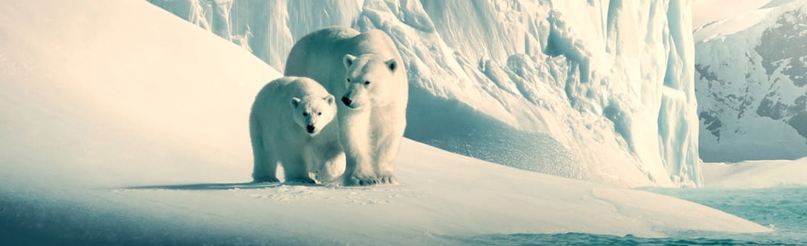 7 películas para reflexionar sobre el cambio climático