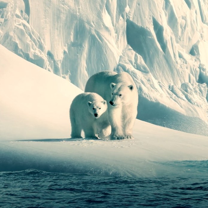 7 películas para reflexionar sobre el cambio climático