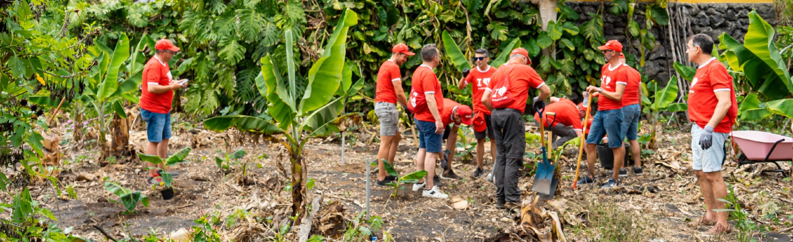 Planta La Palma, una iniciativa para apoyar a los agricultores afectados en La Palma