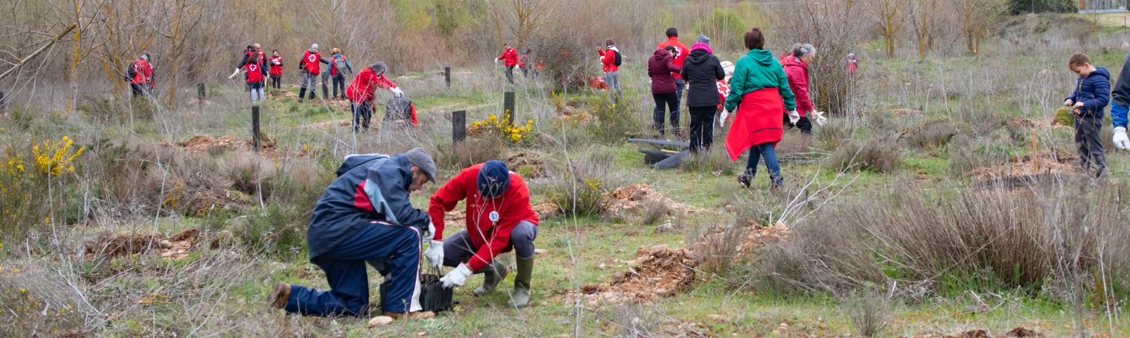 Un pueblo, once mil árboles y el orgullo de favorecer el entorno y luchar contra el cambio climático