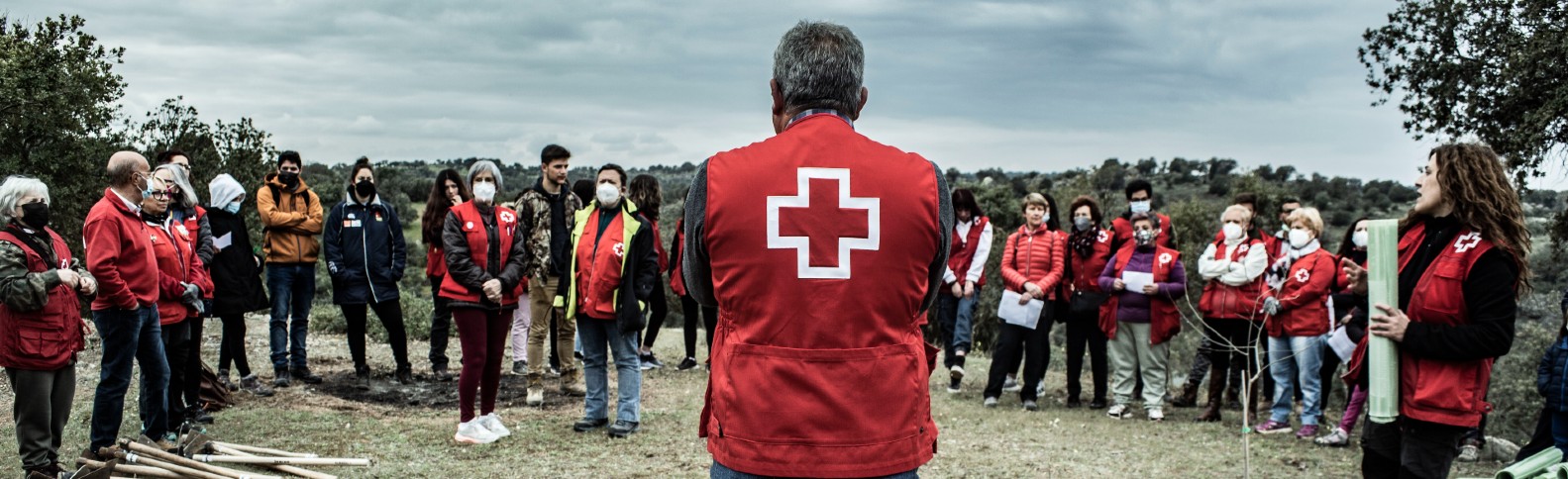 Seguir reforestando para continuar protegiendo el planeta