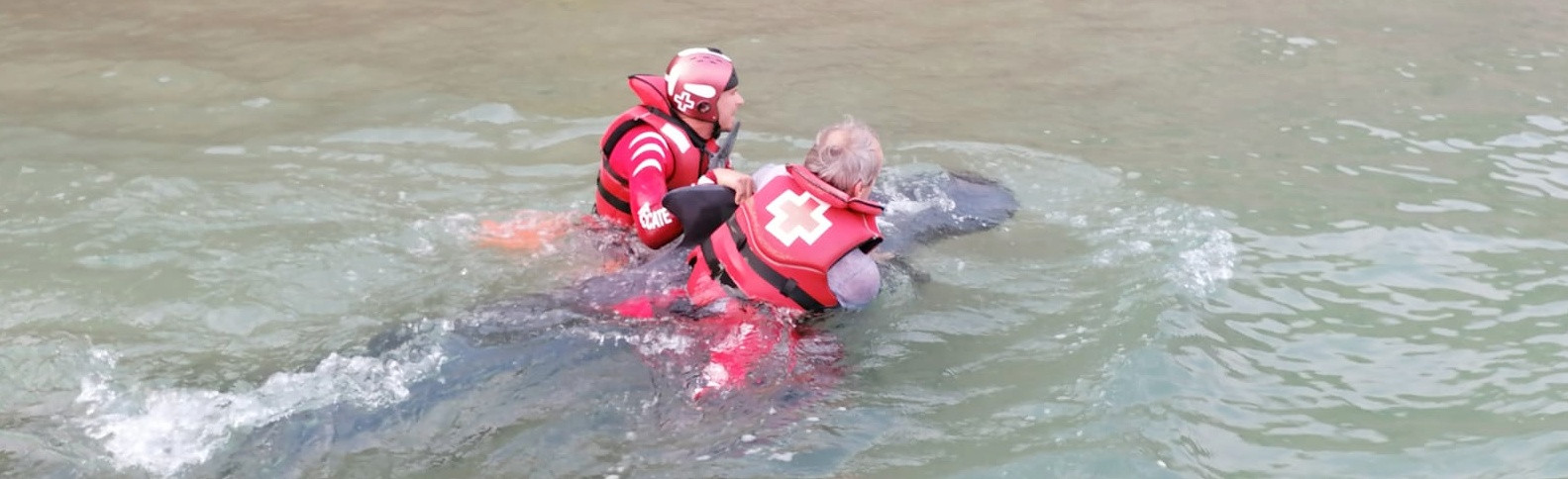 Atípico rescate a un delfín en una playa de Guipúzcoa