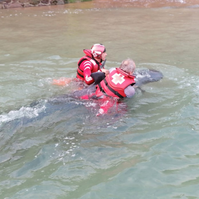 Atípico rescate a un delfín en una playa de Guipúzcoa