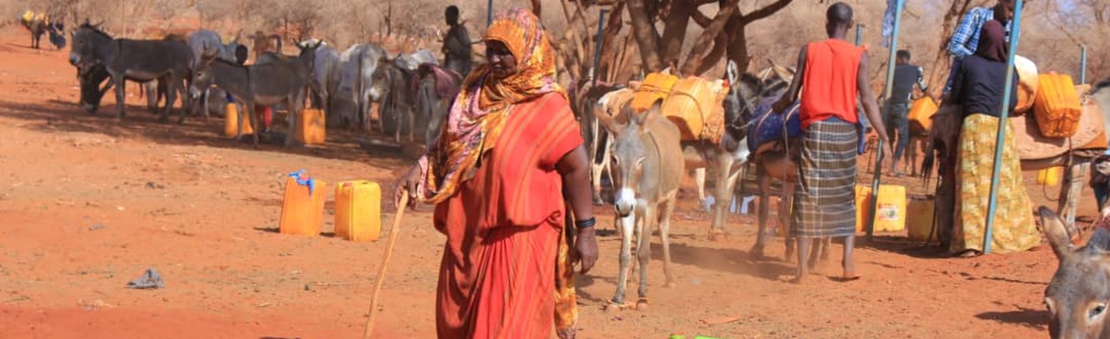 La sequía pone a Somalia al borde de la hambruna