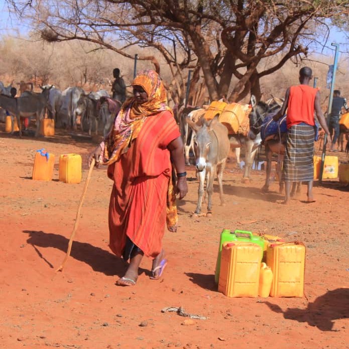 Lehorteak gosetearen ertzean jarri du Somalia