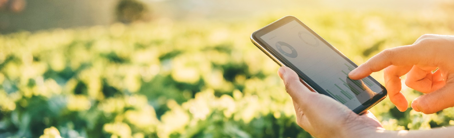 Tecnologías para luchar contra el cambio climático