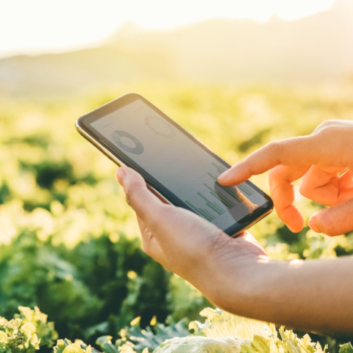 Klima-aldaketaren aurka borrokatzeko teknologiak