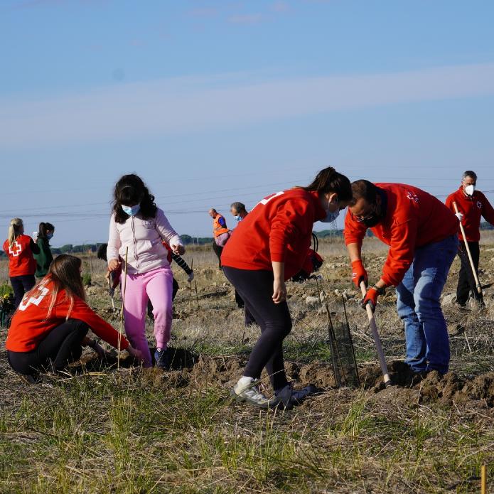 El voluntariado, una fuerza viva