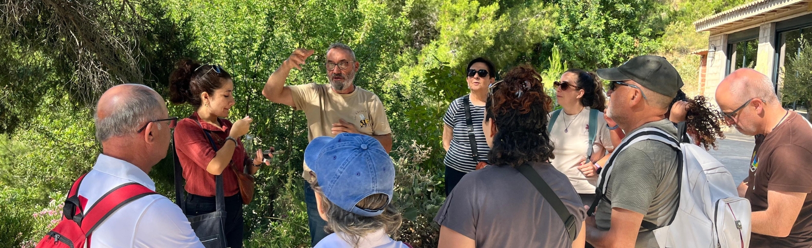 Las abejas, pequeñas aliadas para cuidar los ecosistemas