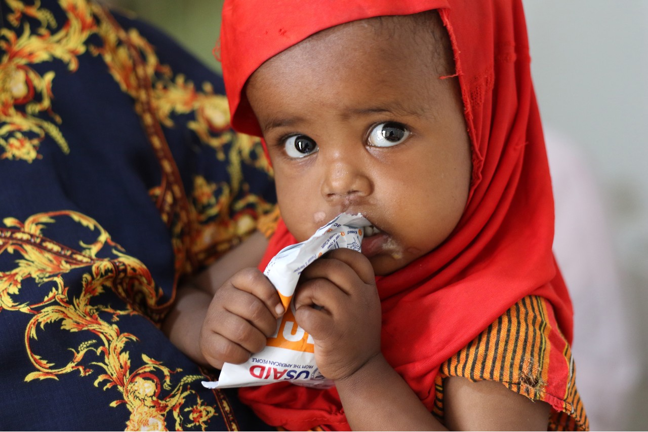 EL HAMBRE, LA MADRE DE TODAS LAS CRISIS