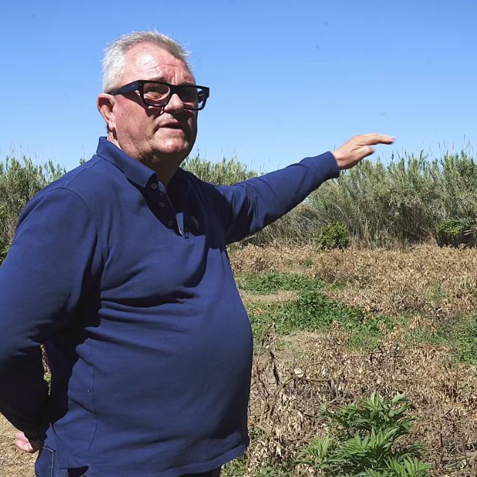 “El agua se llevó mis naranjos y ahora toca volver a empezar”