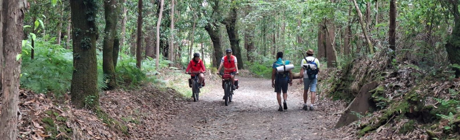 Por un ‘buen camino’ asegurado