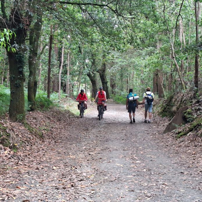 Por un ‘buen camino’ asegurado