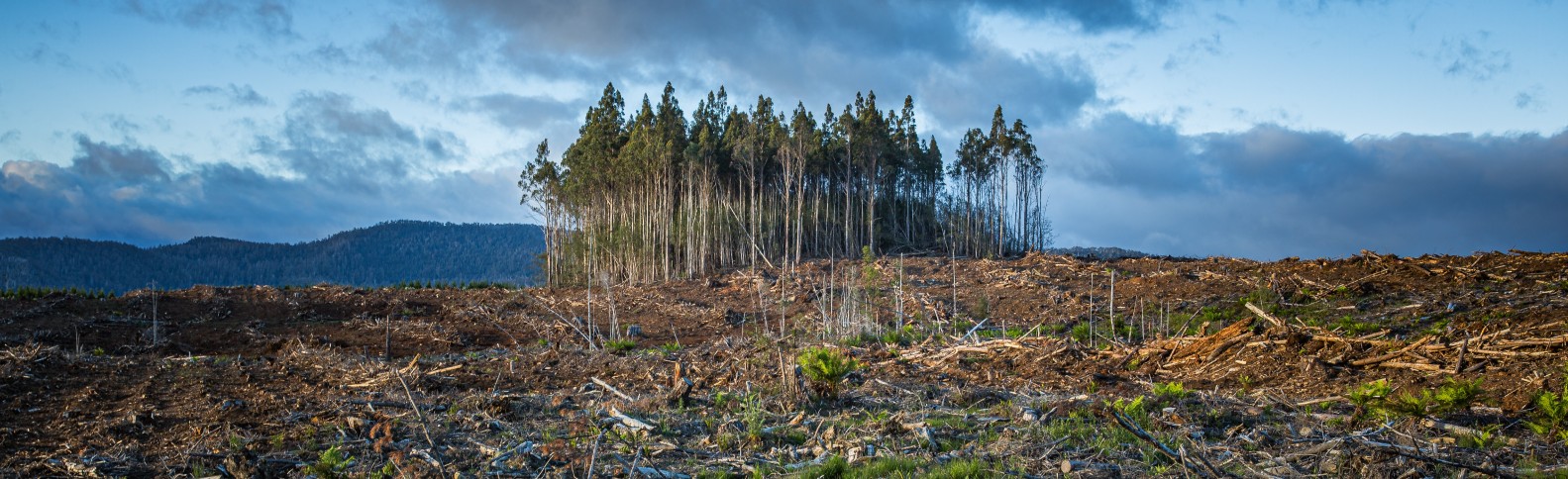 “La COP27 fracasará si los líderes no apoyan a las comunidades en la primera línea del cambio climático”