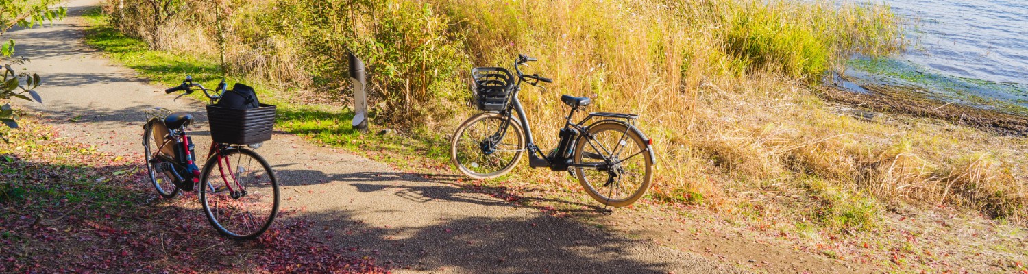 Consejos para reducir la huella de carbono