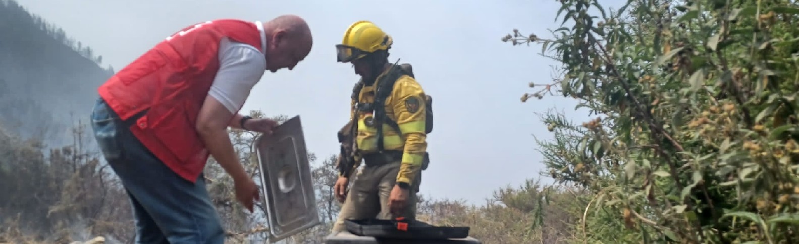 Burgos, Ávila, Zamora y Tenerife: los incendios forestales no dan tregua