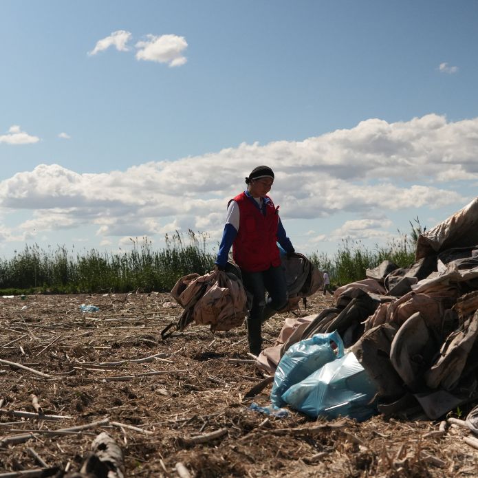 Recuperar los espacios naturales afectados por la DANA