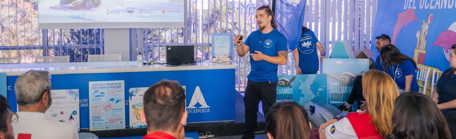 Qué hacer si te encuentras a fauna marina varada