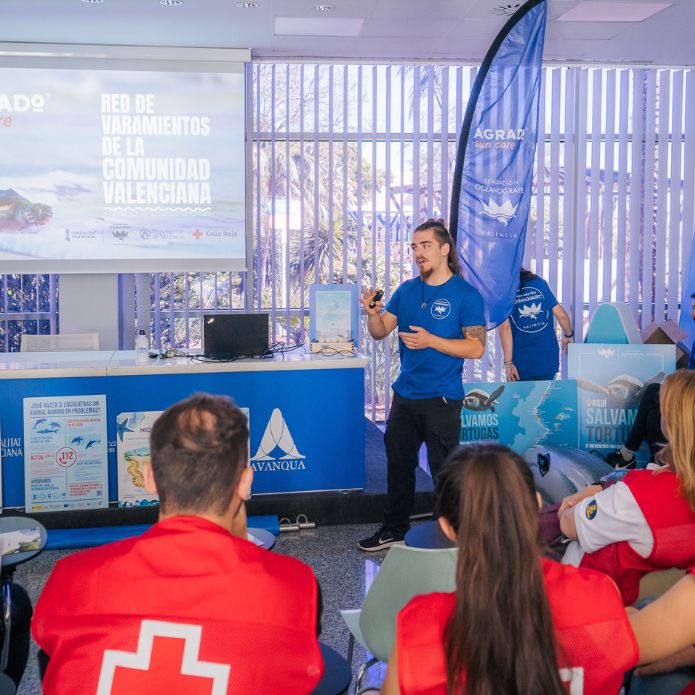 Qué hacer si te encuentras a fauna marina varada