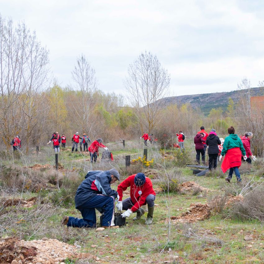 Un pueblo, once mil árboles y el orgullo de favorecer el entorno y luchar contra el cambio climático